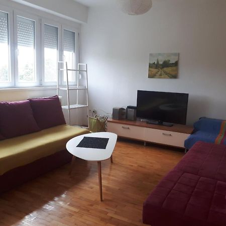 Viva Apartment スコピエ エクステリア 写真