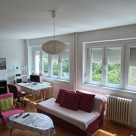 Viva Apartment スコピエ エクステリア 写真