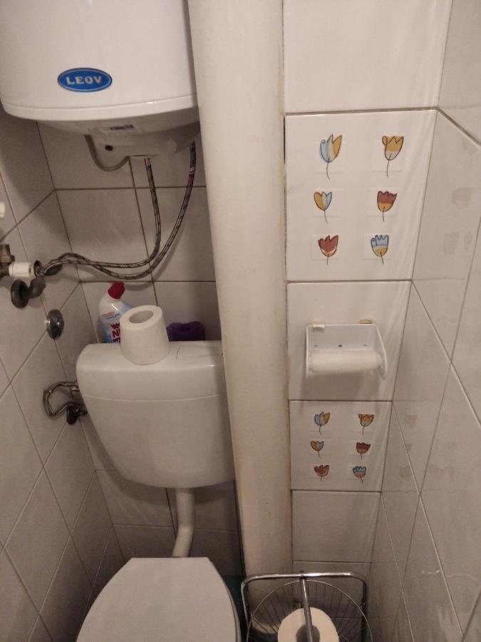 Viva Apartment スコピエ エクステリア 写真