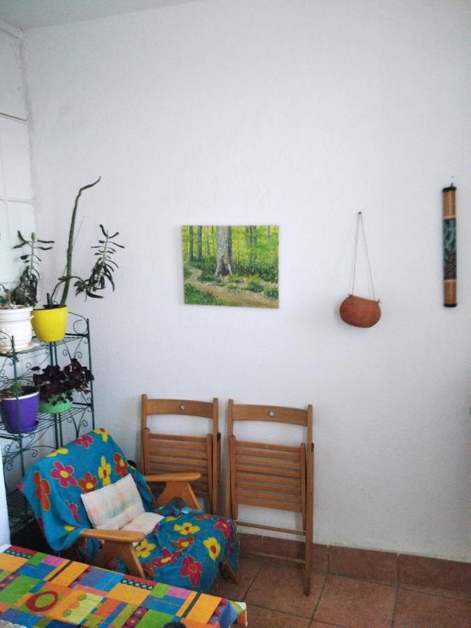 Viva Apartment スコピエ エクステリア 写真