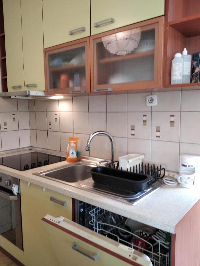 Viva Apartment スコピエ エクステリア 写真