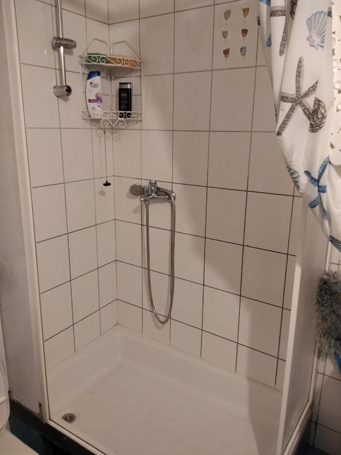 Viva Apartment スコピエ エクステリア 写真