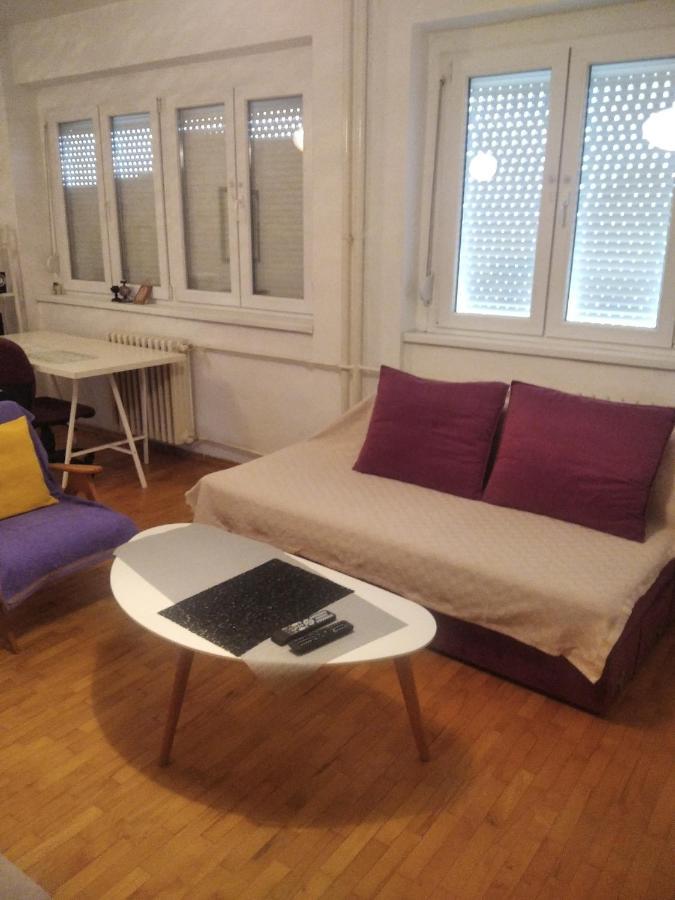 Viva Apartment スコピエ エクステリア 写真