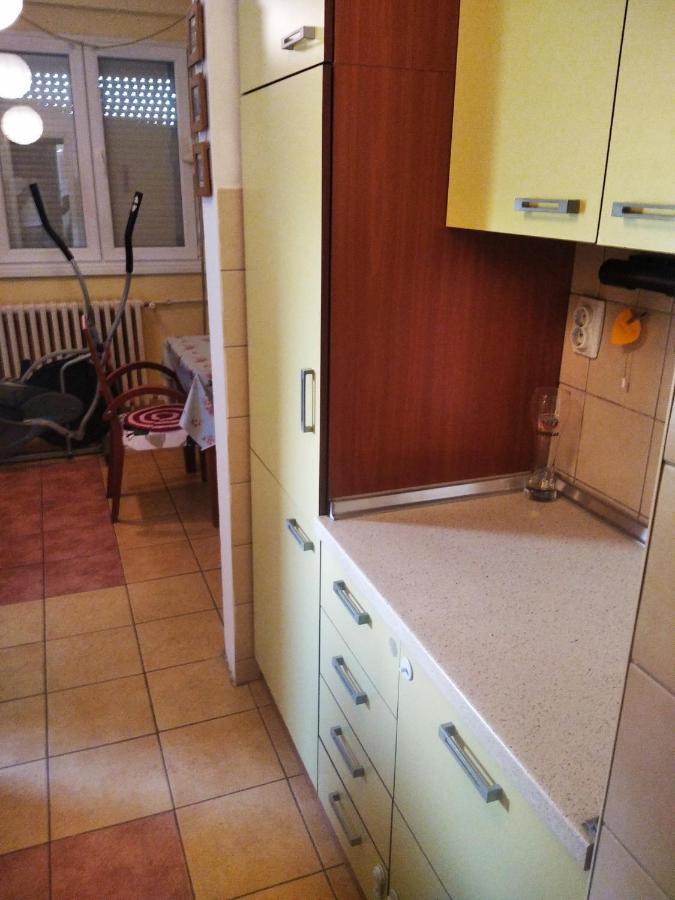 Viva Apartment スコピエ エクステリア 写真